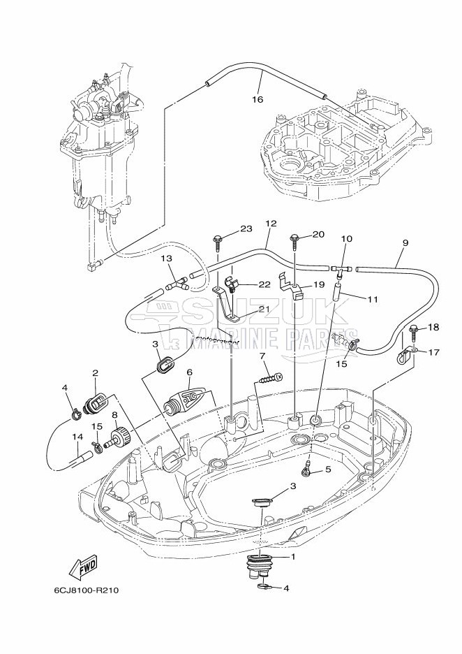 BOTTOM-COWLING-2