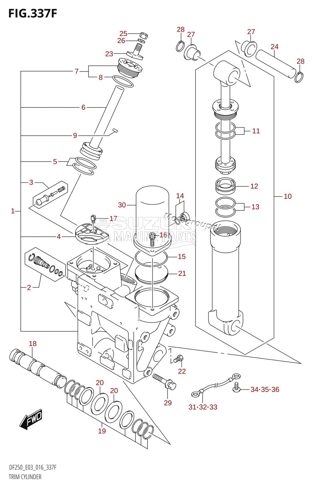 TRIM CYLINDER (DF250Z:E03:(X-TRANSOM,XX-TRANSOM))