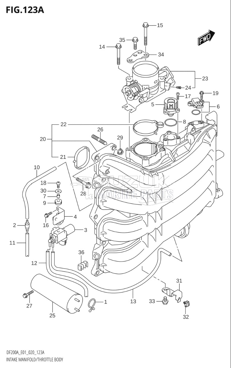 INTAKE MANIFOLD / THROTTLE BODY