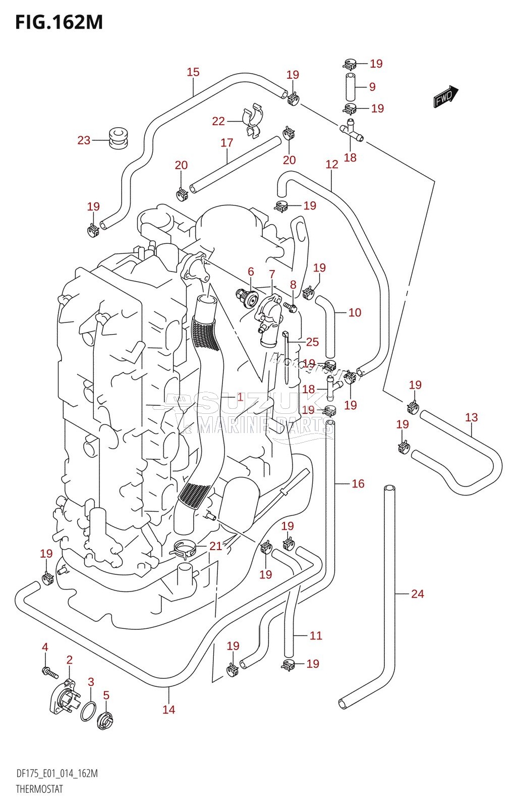 THERMOSTAT (DF175TG:E40)