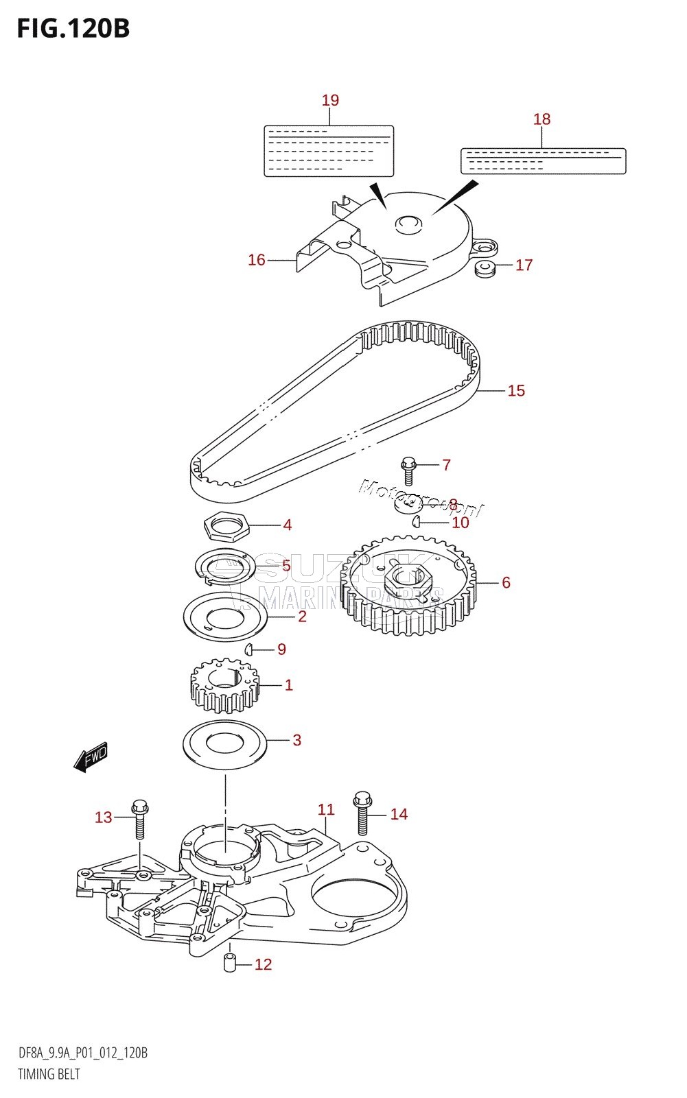 TIMING BELT (DF8AR:P01)