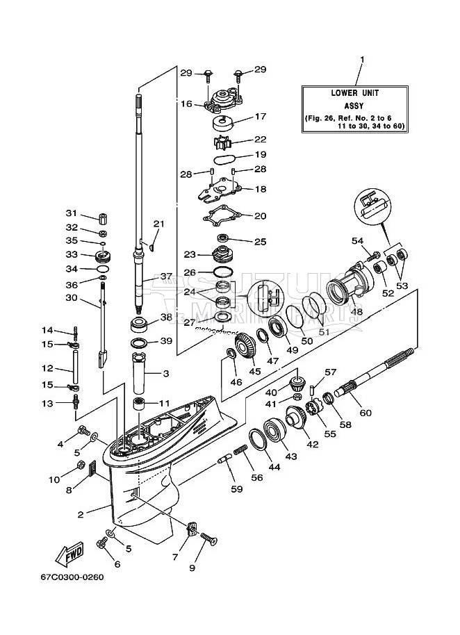 LOWER-CASING-x-DRIVE-1