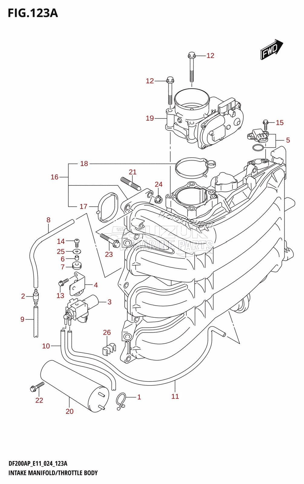 INTAKE MANIFOLD /​ THROTTLE BODY