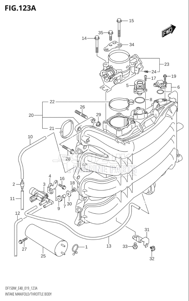 INTAKE MANIFOLD / THROTTLE BODY