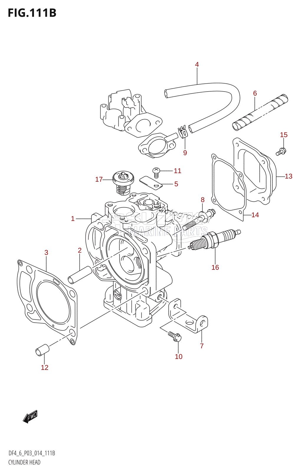 CYLINDER HEAD (DF6:P03)