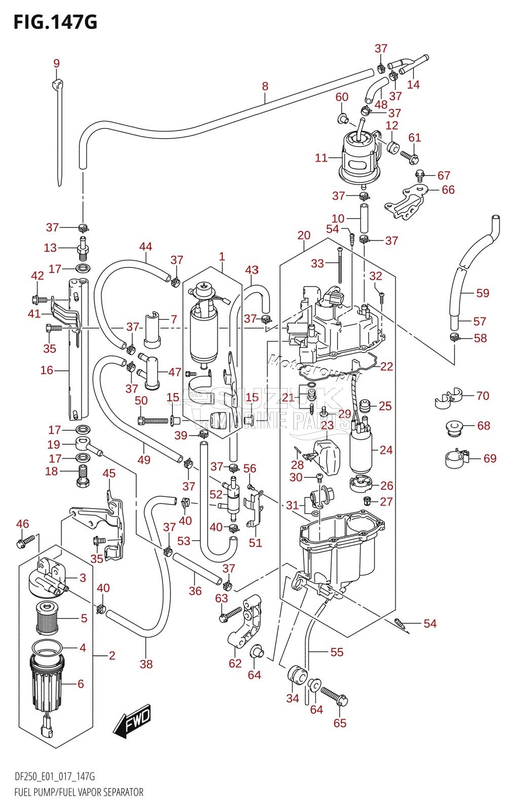 FUEL PUMP /​ FUEL VAPOR SEPARATOR (DF225Z:E01)