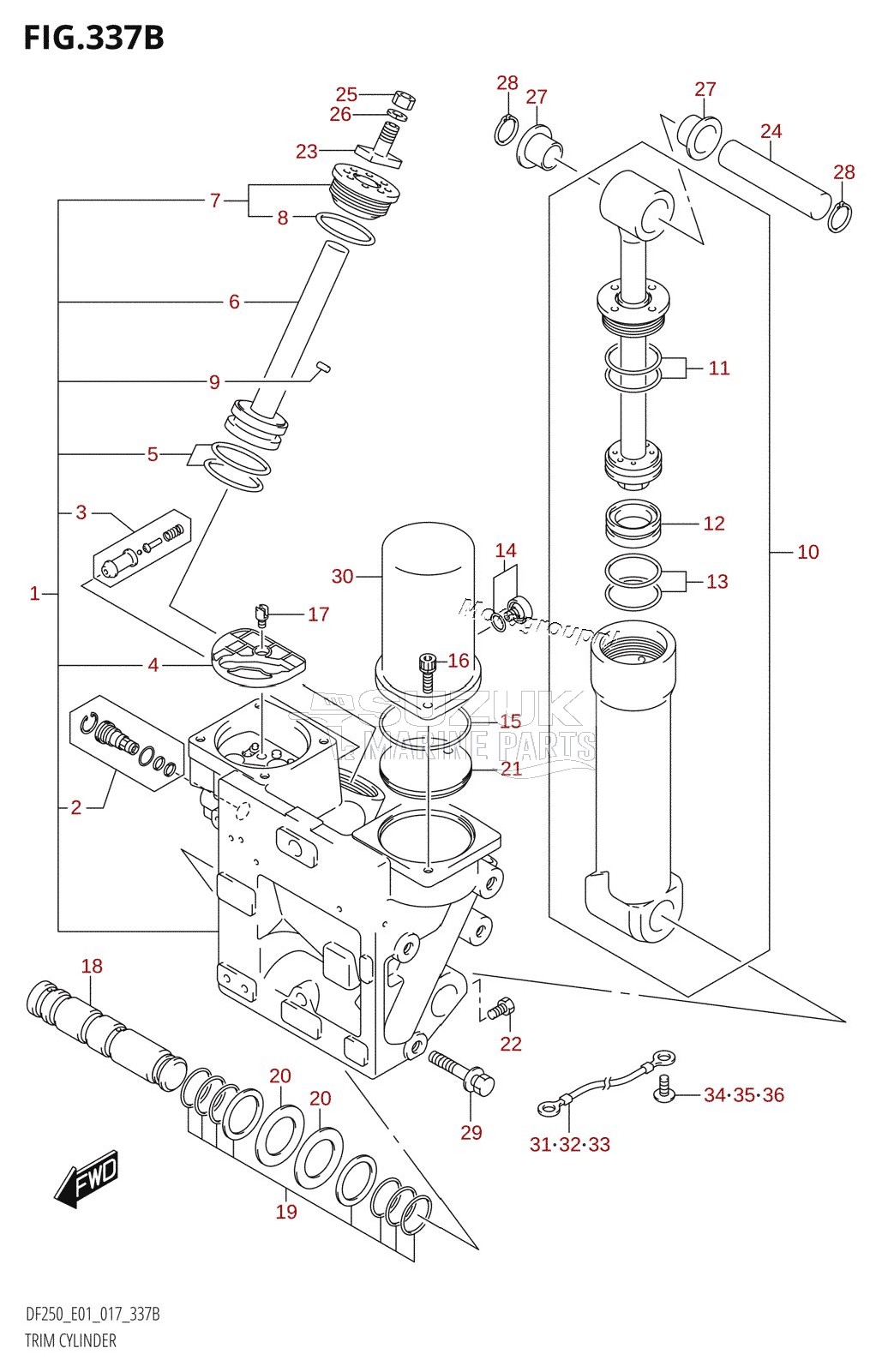 TRIM CYLINDER (DF200Z:E40:X-TRANSOM)