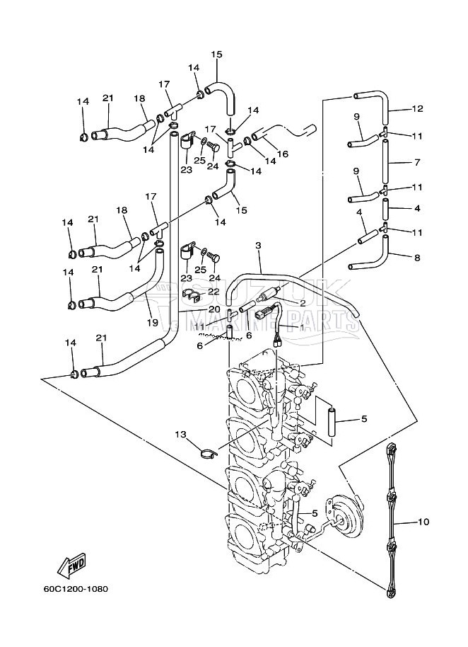 CARBURETOR-2