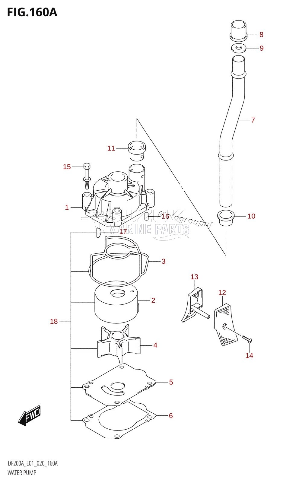 WATER PUMP (DF200AT:E01,DF175AT:E01,DF175AZ:E01)