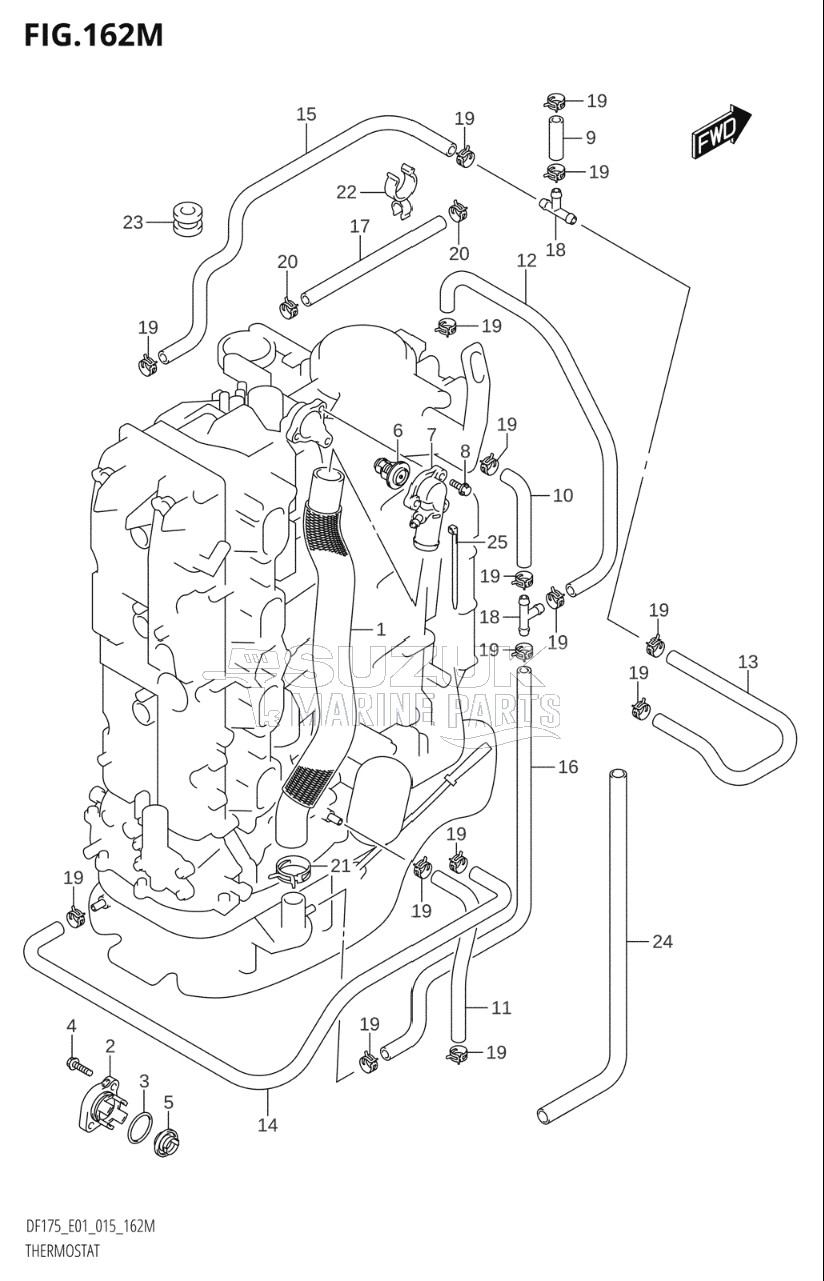 THERMOSTAT (DF175TG:E40)