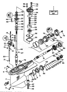 250AET drawing PROPELLER-HOUSING-AND-TRANSMISSION-1