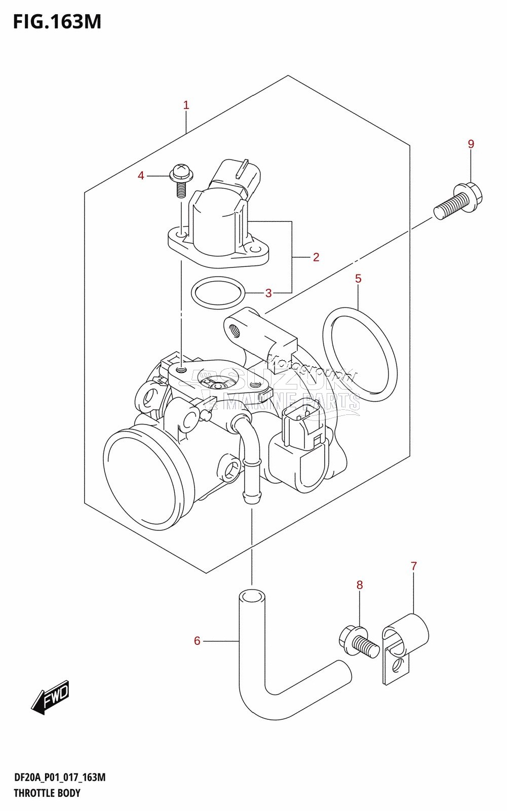 THROTTLE BODY (DF20ATH:P01)