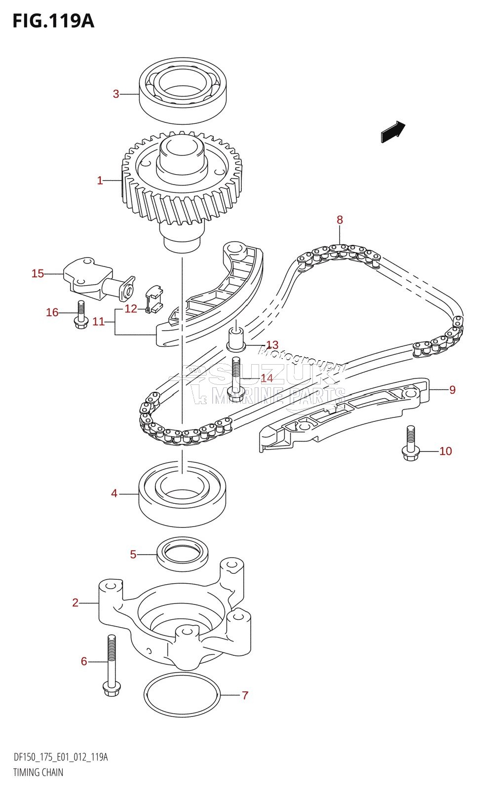 TIMING CHAIN