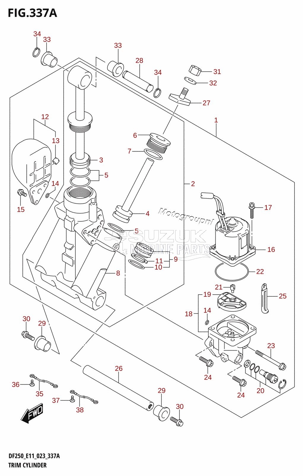 TRIM CYLINDER (L-TRANSOM)