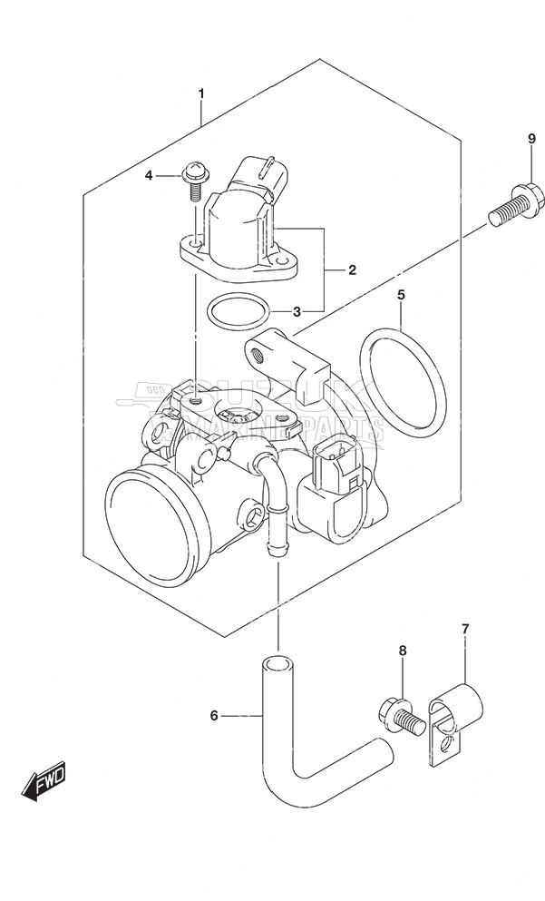 Throttle Body Non-Remote Control