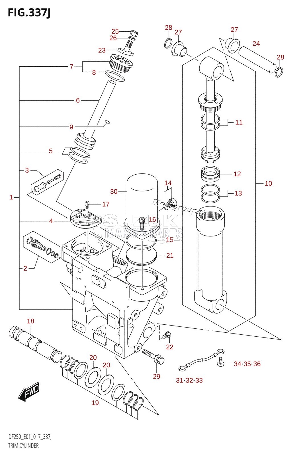 TRIM CYLINDER (DF250T:E01:(X-TRANSOM,XX-TRANSOM))