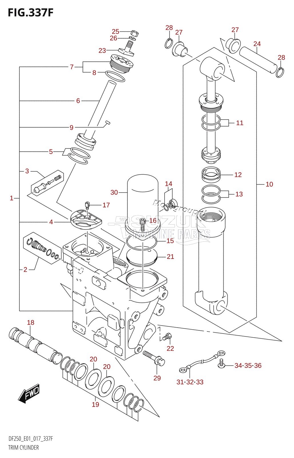 TRIM CYLINDER (DF225T:E40:(X-TRANSOM,XX-TRANSOM))