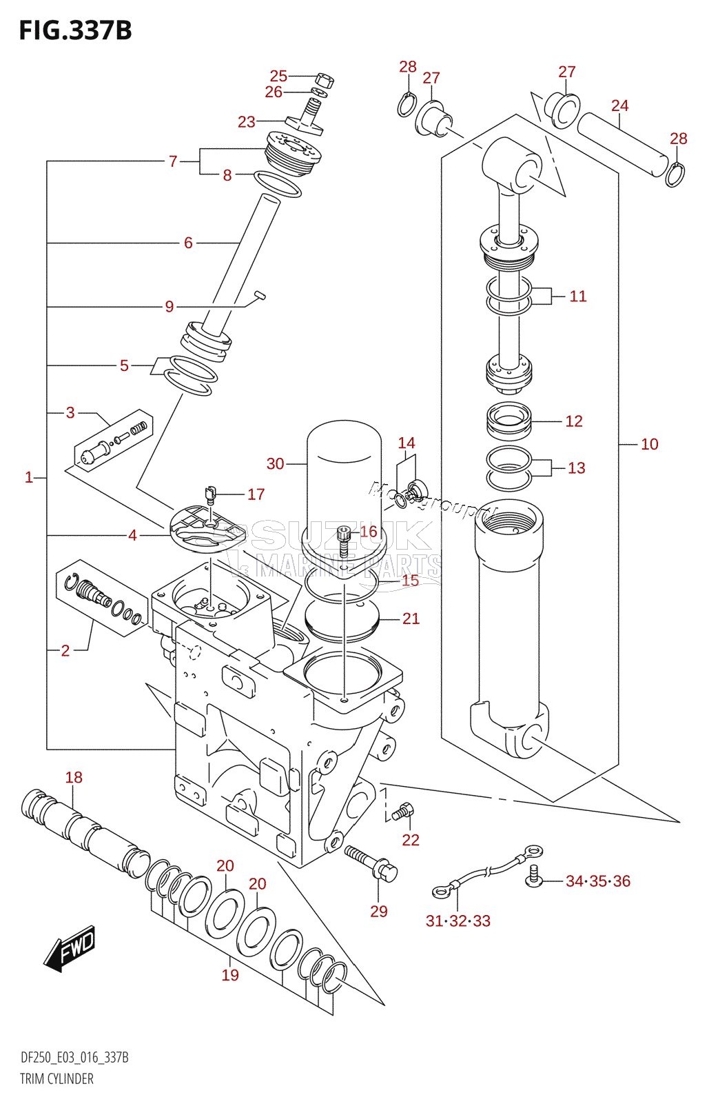 TRIM CYLINDER (DF200Z:E03:X-TRANSOM)