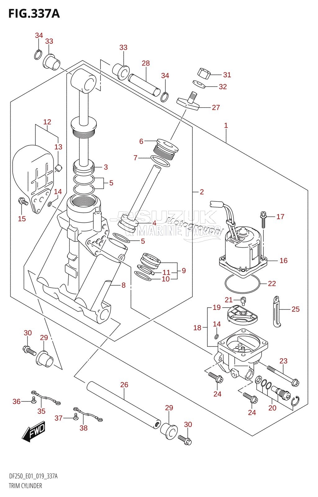 TRIM CYLINDER (L-TRANSOM)