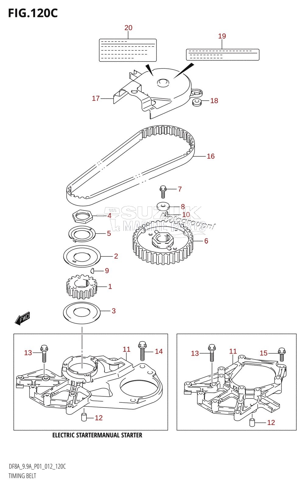 TIMING BELT (DF9.9A:P01)