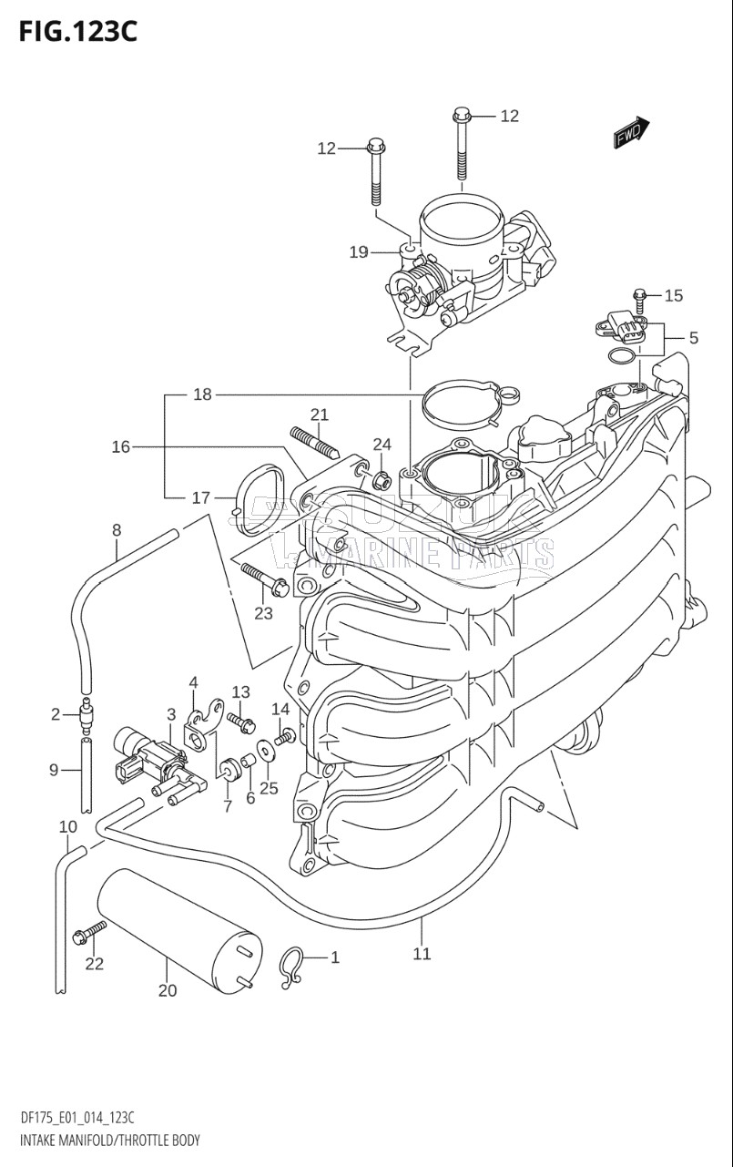 INTAKE MANIFOLD / THROTTLE BODY (DF150TG:E01)