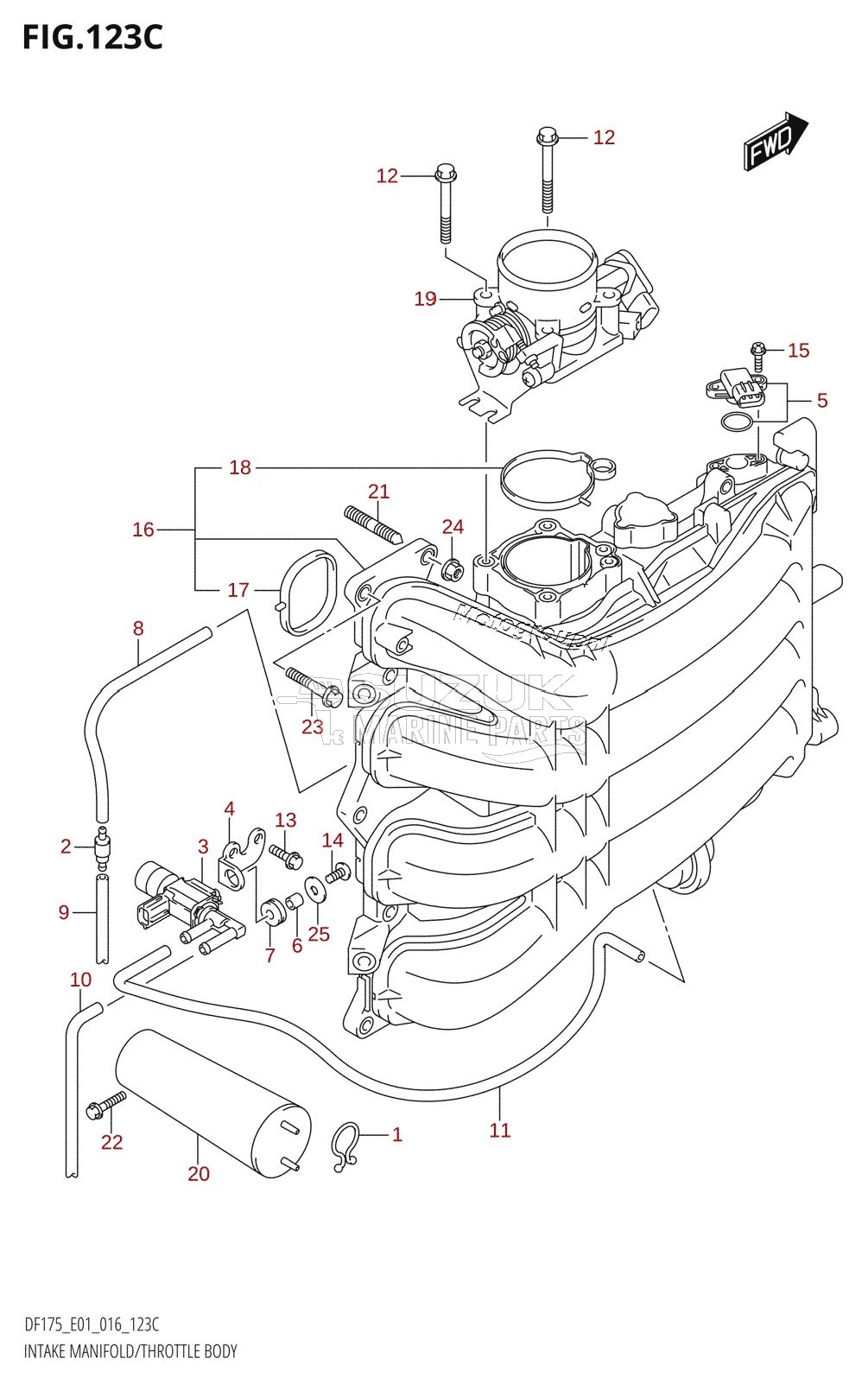 INTAKE MANIFOLD /​ THROTTLE BODY (DF150TG:E01)