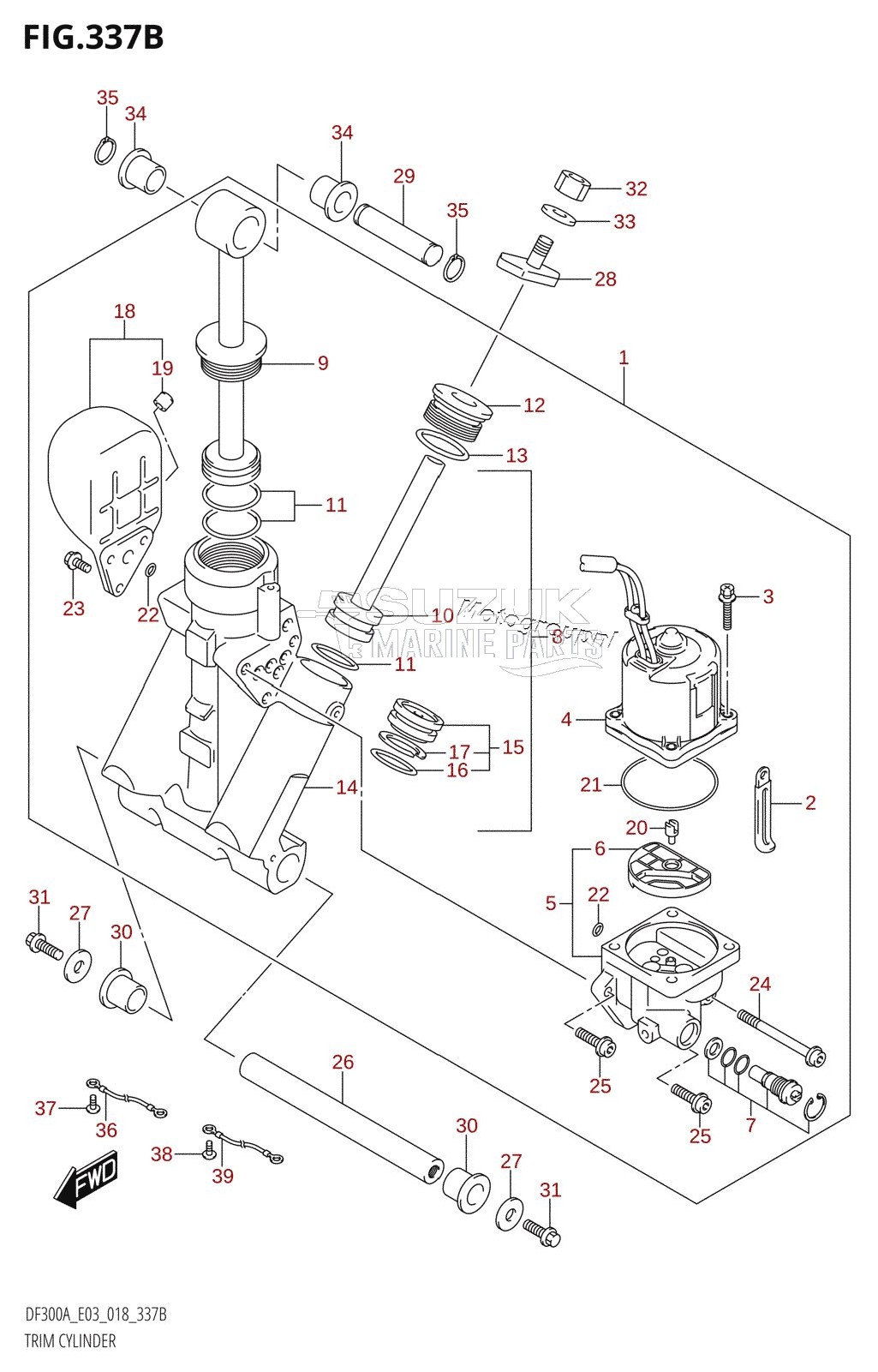 TRIM CYLINDER (L-TRANSOM)