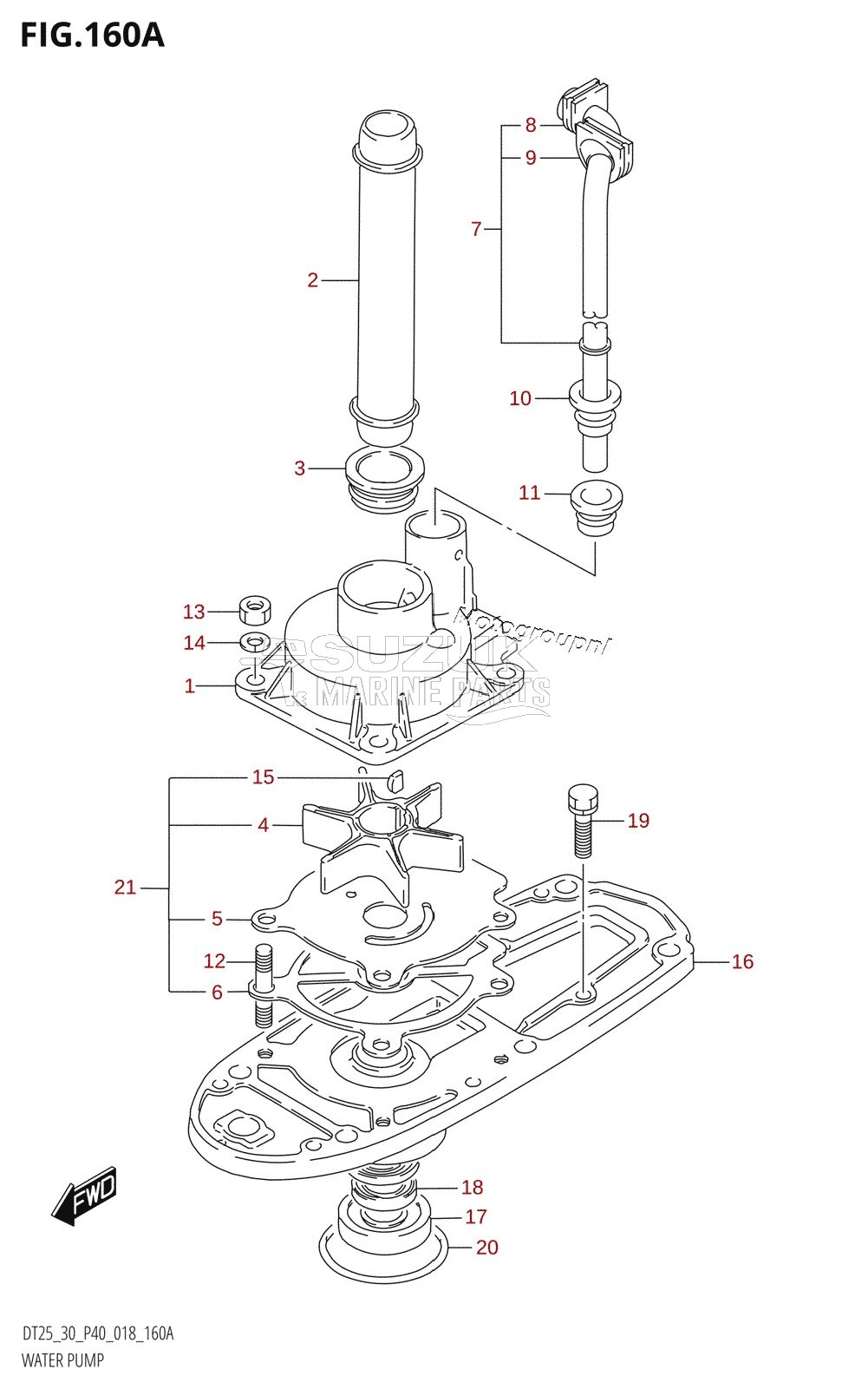 WATER PUMP (S-TRANSOM)