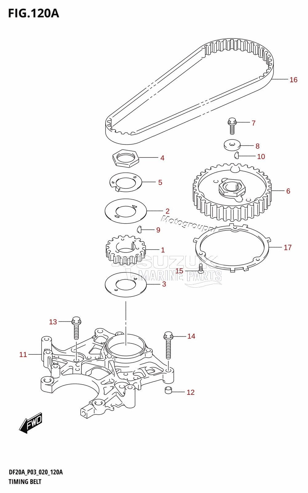 TIMING BELT