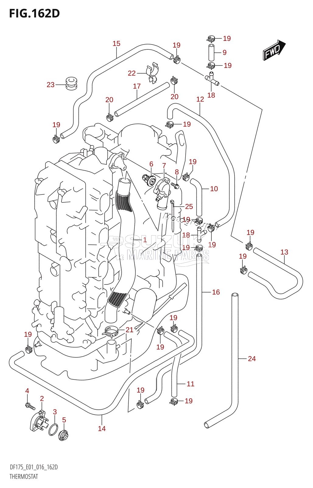 THERMOSTAT (DF150TG:E40)