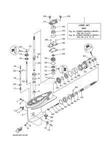 F50DET drawing PROPELLER-HOUSING-AND-TRANSMISSION-1