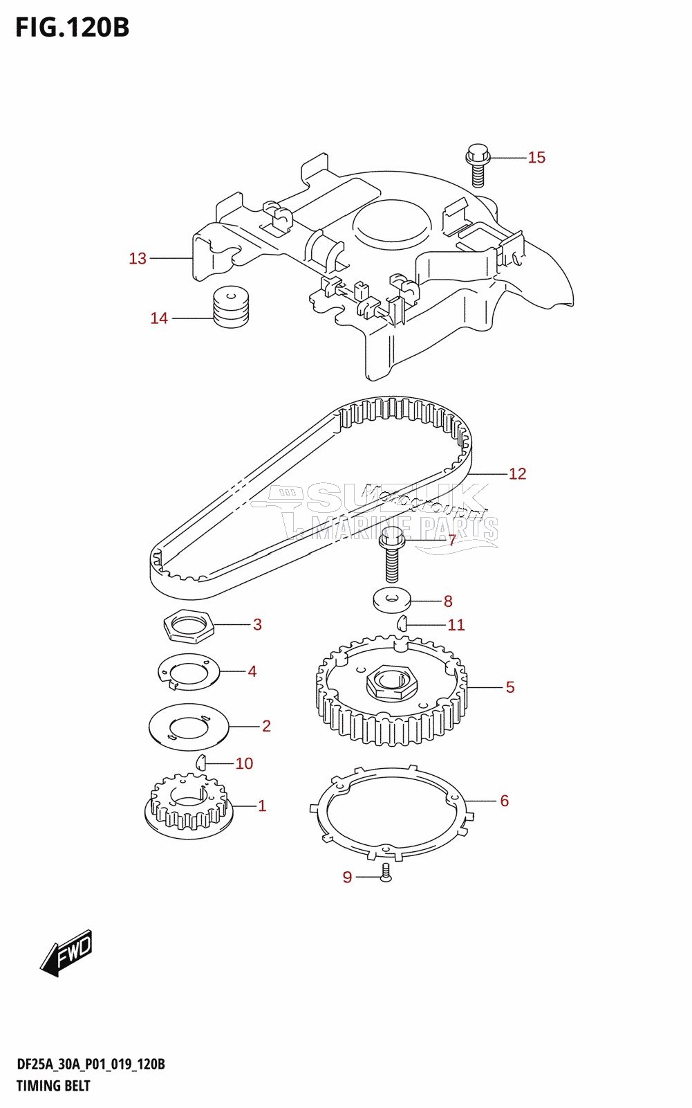 TIMING BELT (DF30A,DF30AR,DF30AT,DF30ATH,DF30AQ)