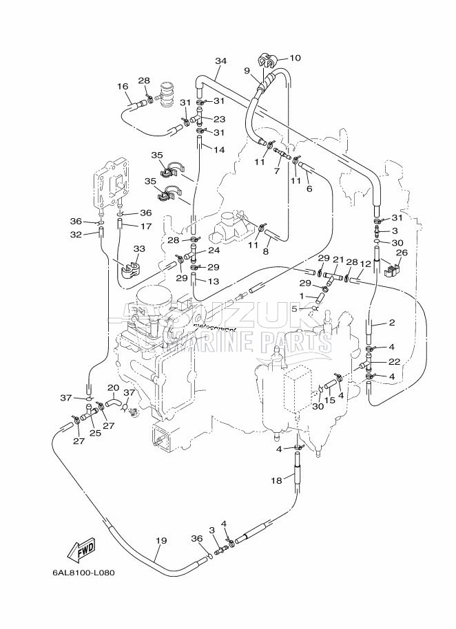 INTAKE-2