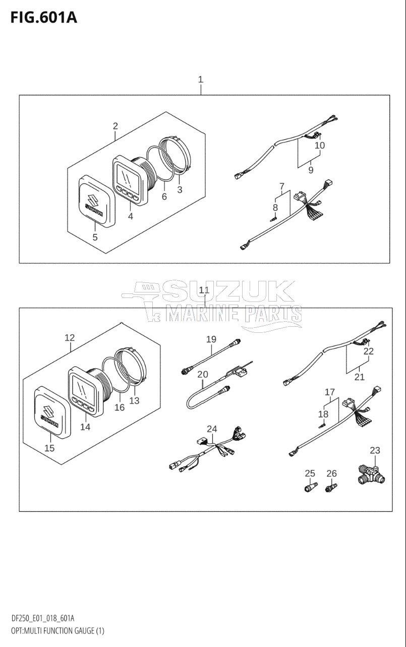 OPT:MULTI FUNCTION GAUGE (1)