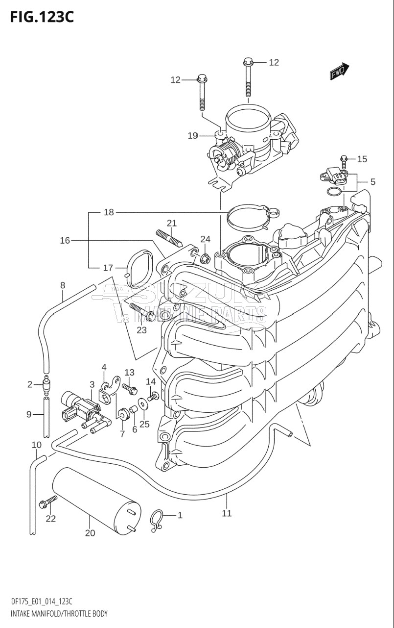 INTAKE MANIFOLD / THROTTLE BODY (DF150TG:E01)