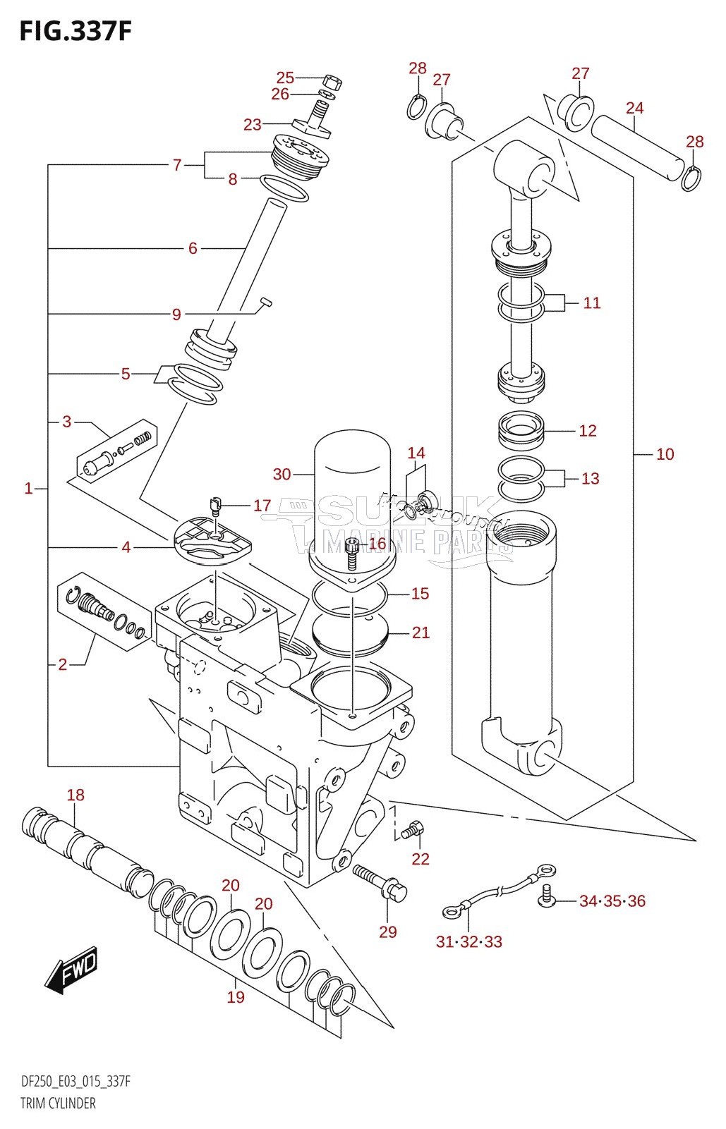 TRIM CYLINDER (DF250Z:E03:(X-TRANSOM,XX-TRANSOM))