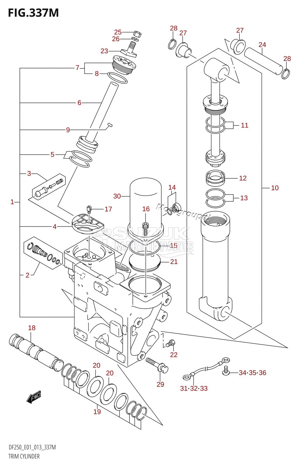 TRIM CYLINDER (DF250Z:E40:(X-TRANSOM,XX-TRANSOM))