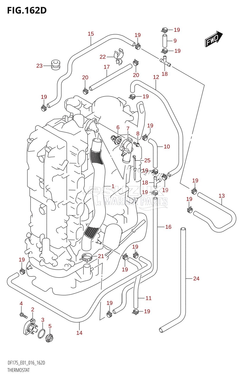 THERMOSTAT (DF150TG:E40)