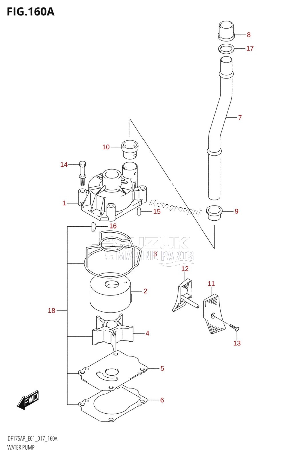 WATER PUMP (DF150AP:E01)