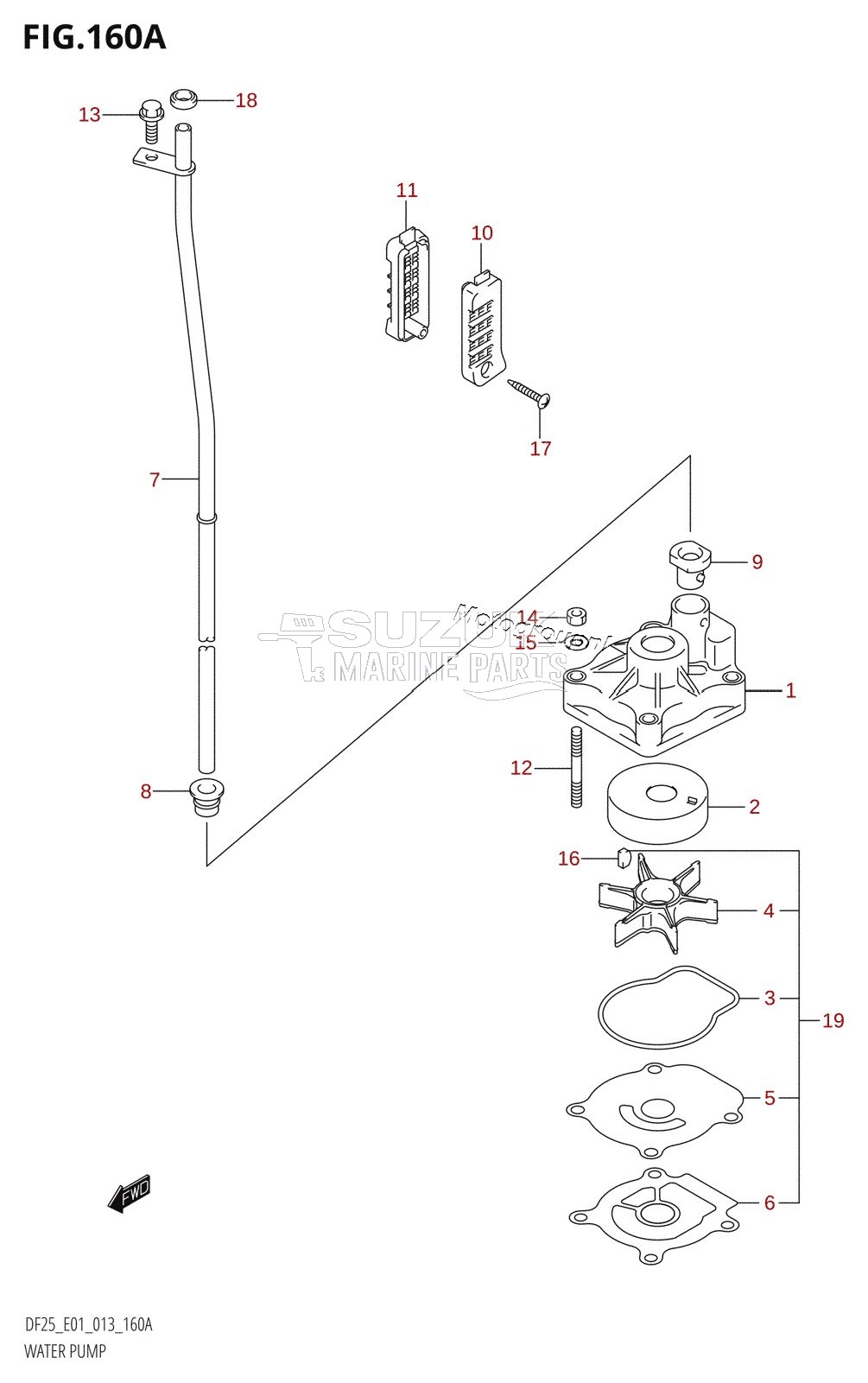 WATER PUMP (DF25:E01)