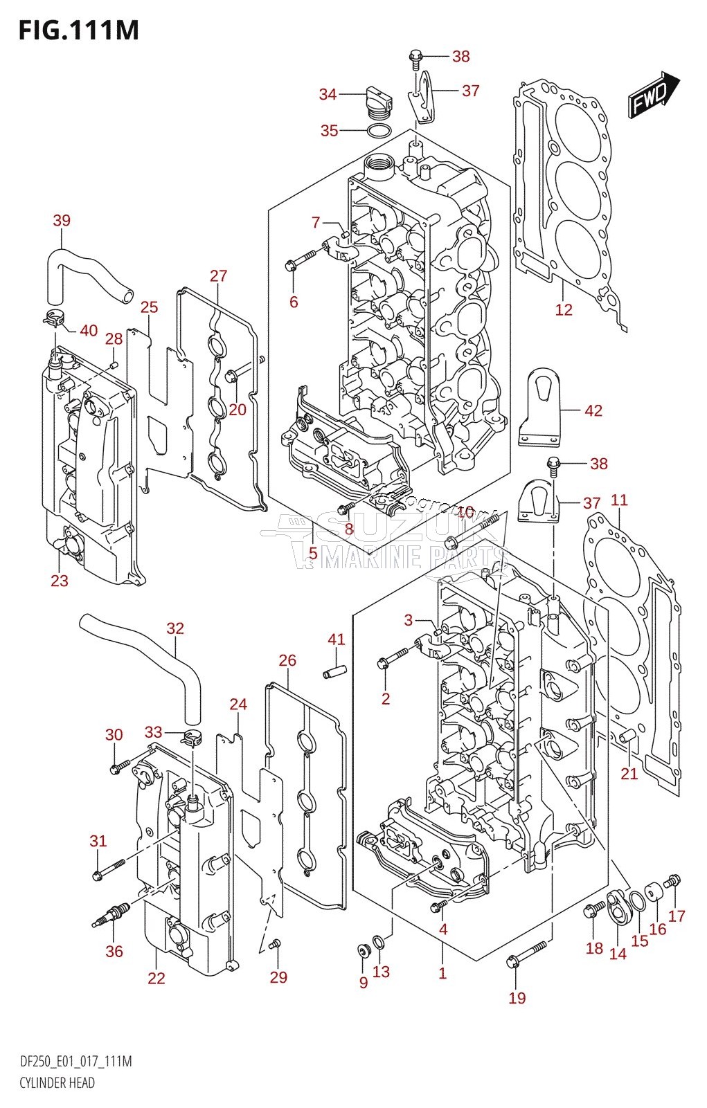 CYLINDER HEAD (DF250Z:E40)