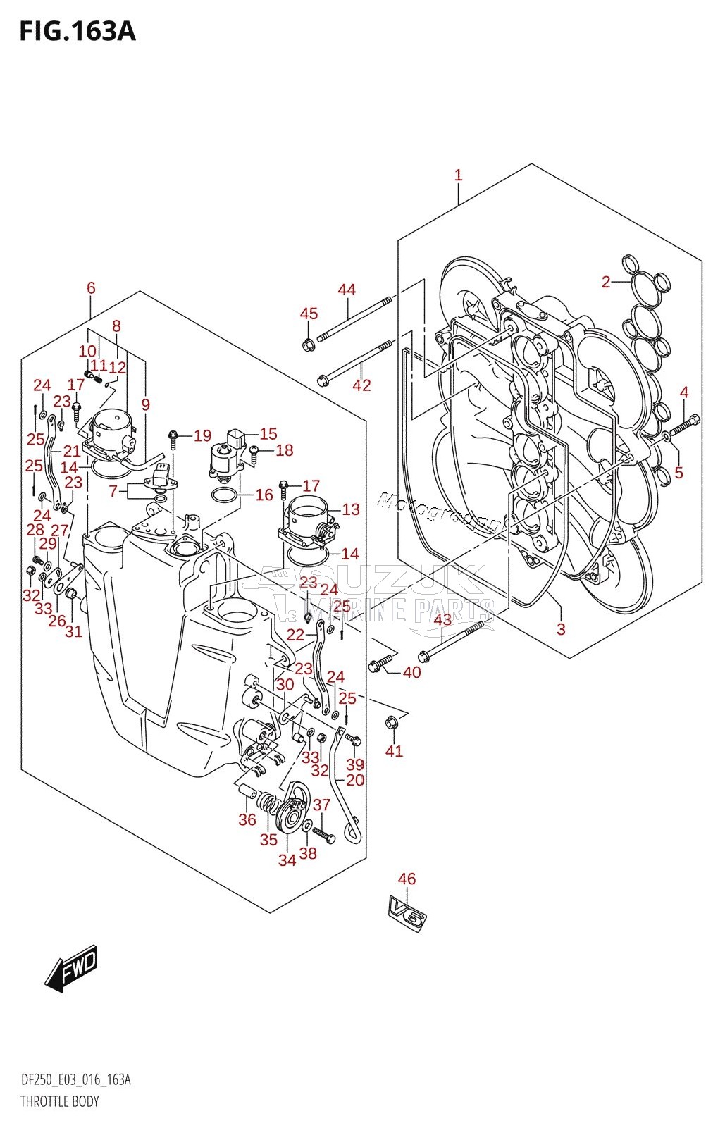 THROTTLE BODY (DF200T:E03)