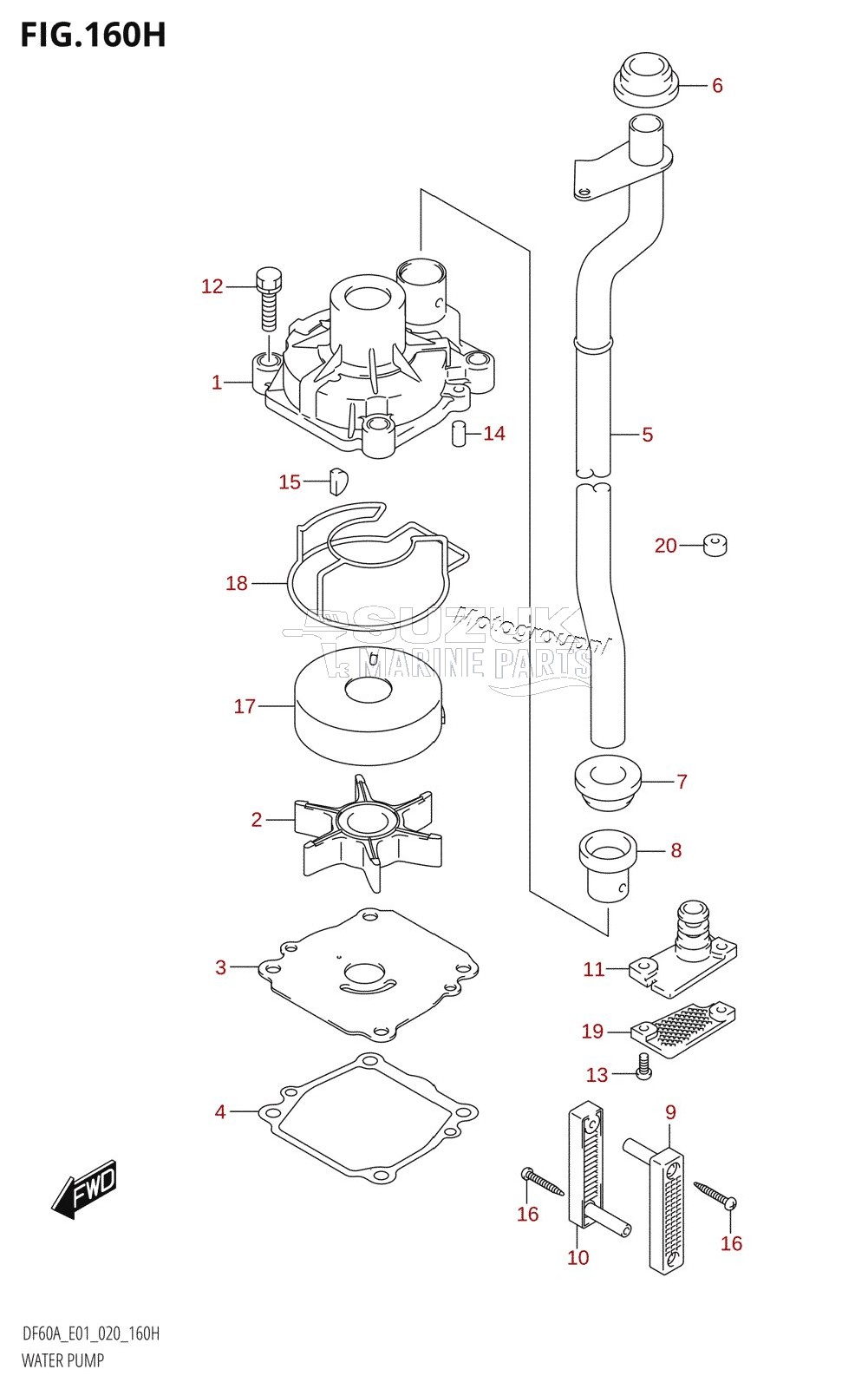 WATER PUMP (DF60AVT:E40,DF60AVTH:E40)