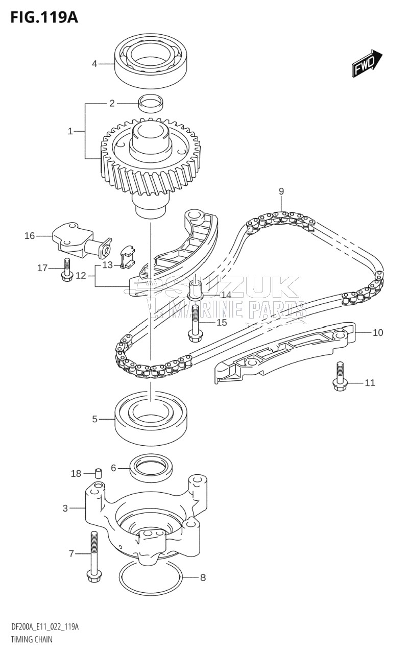 TIMING CHAIN