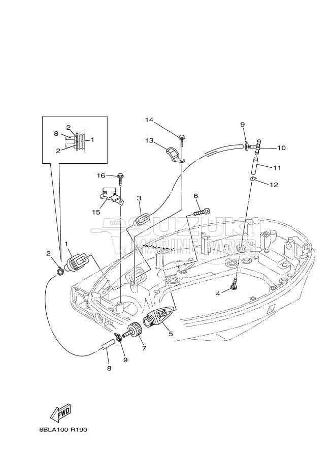 BOTTOM-COWLING-2