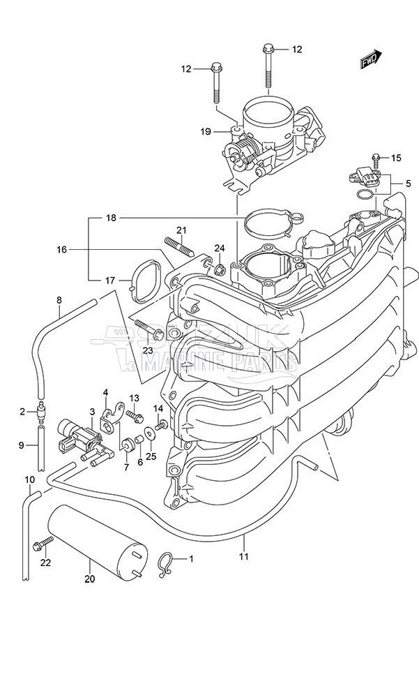 Intake Manifold/Throttle Body (Model: TG/ZG)