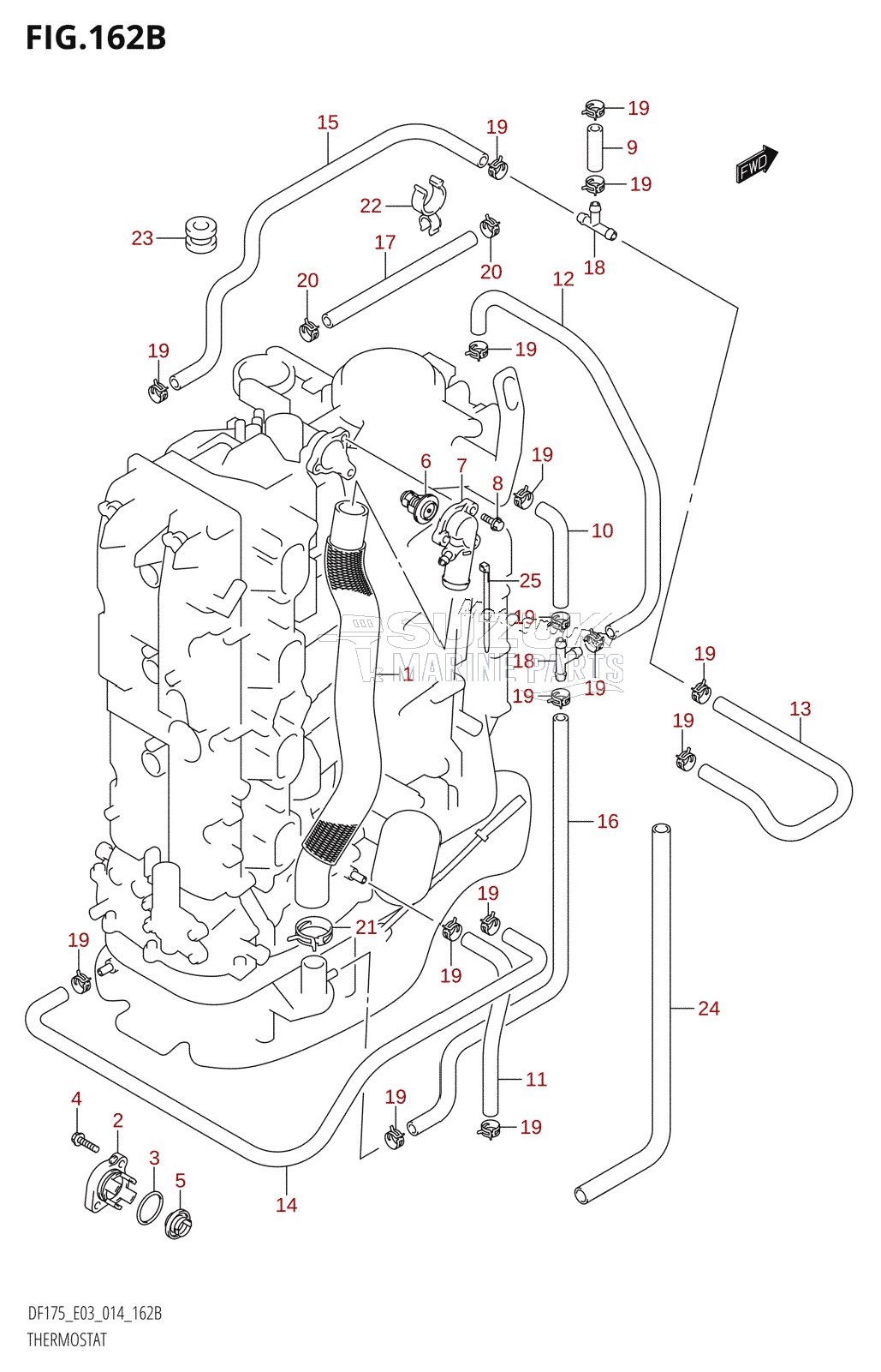 THERMOSTAT (DF150TG:E03)