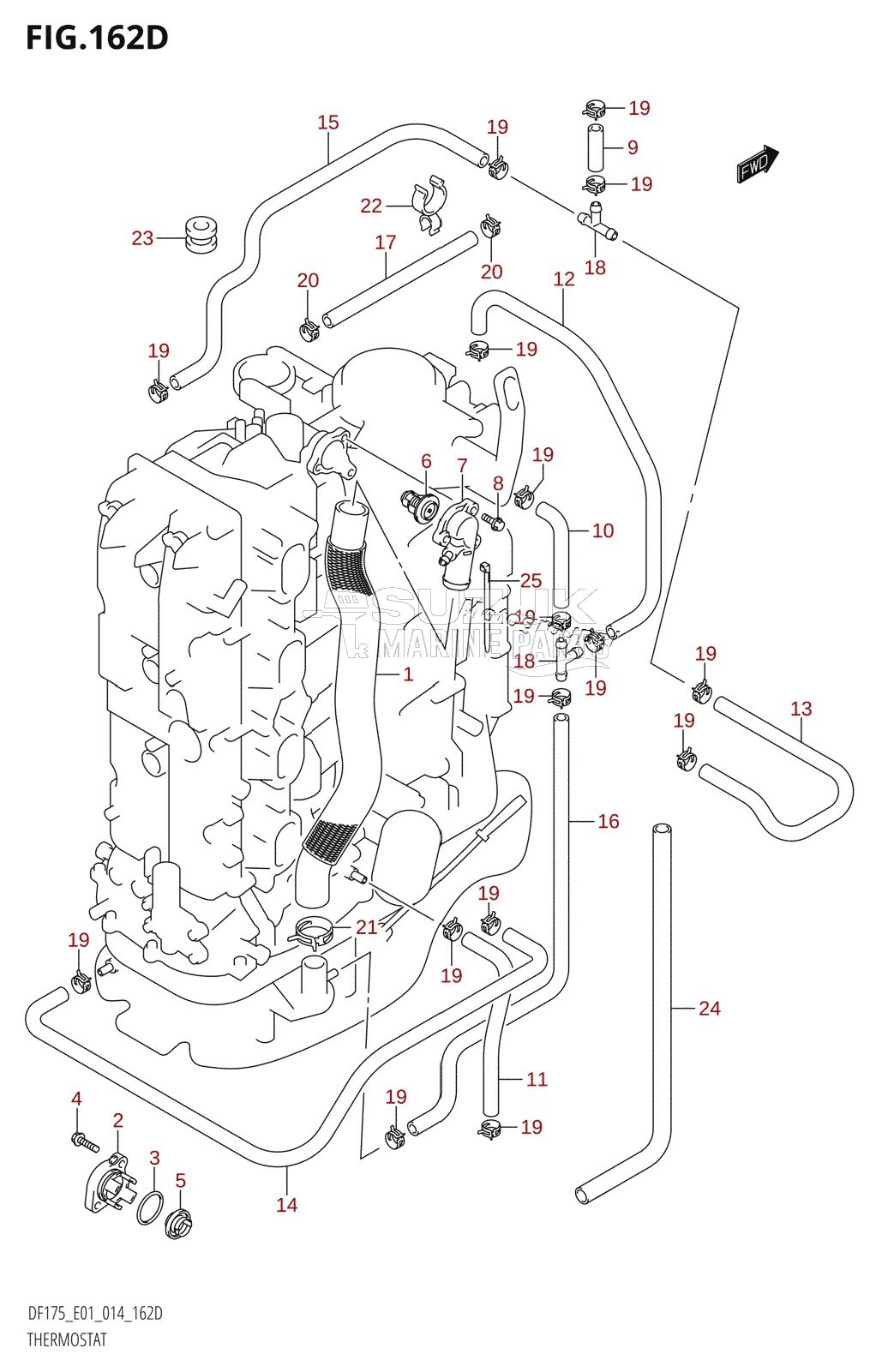 THERMOSTAT (DF150TG:E40)