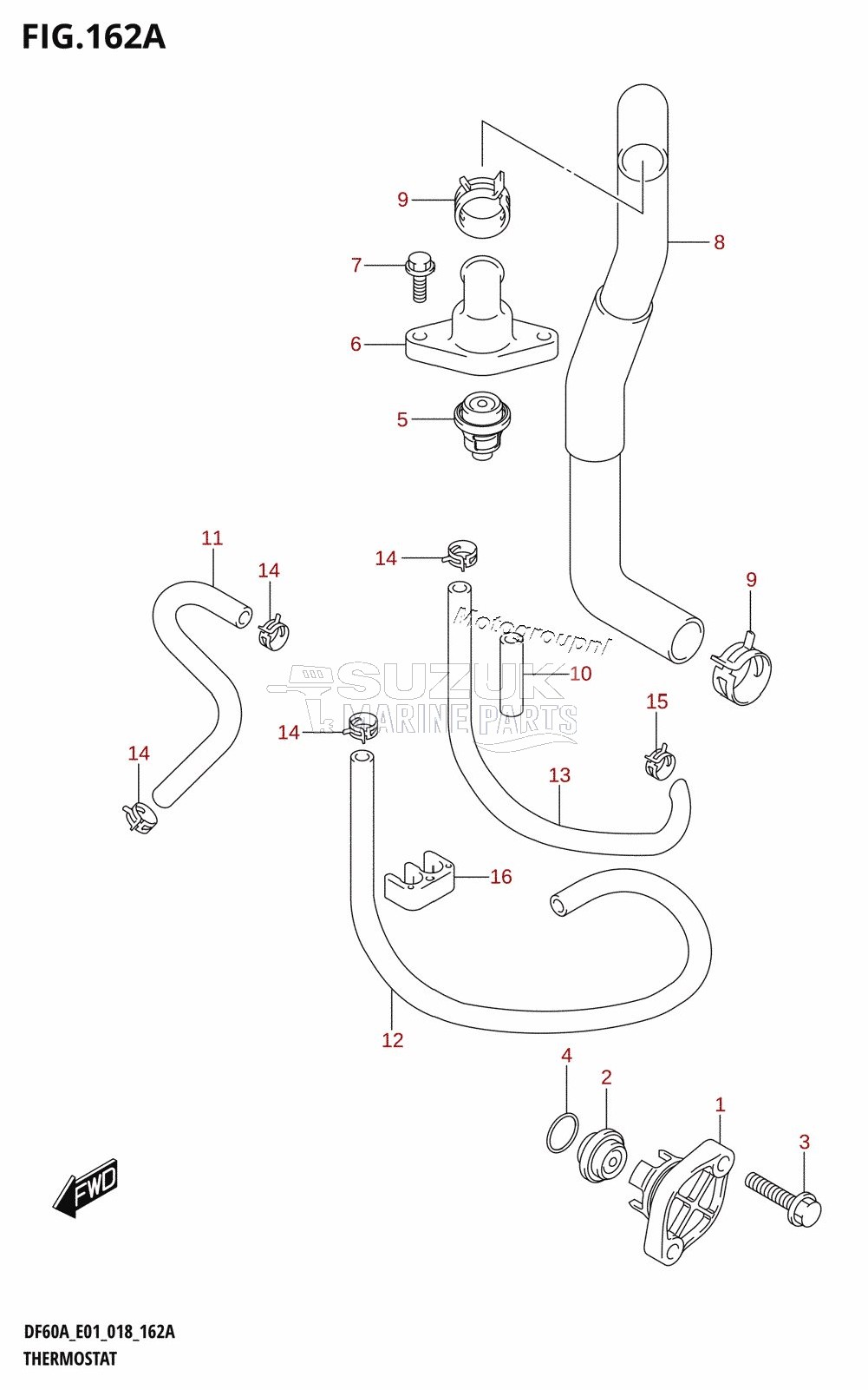 THERMOSTAT (DF40A,DF40AST,DF50A,DF60A)