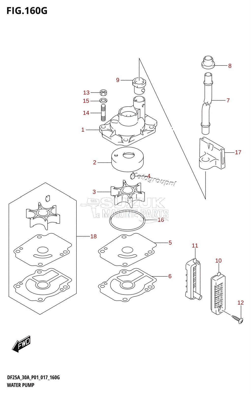 WATER PUMP (DF30AT:P01)